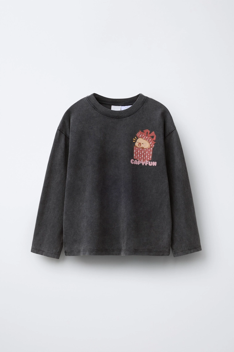 Футболка с принтом capybara capyfun © с эффектом выцветания