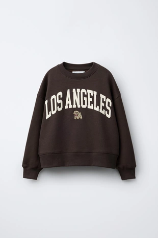 Толстовка с вышитой надписью и щенком- Заказать в России