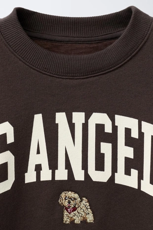 Толстовка с вышитой надписью и щенком- Заказать в России