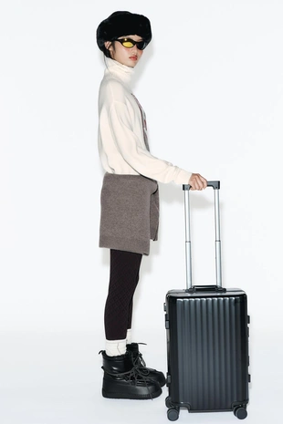 Чемодан для ручной клади с замком безопасности коллекция SKI- Заказать в России