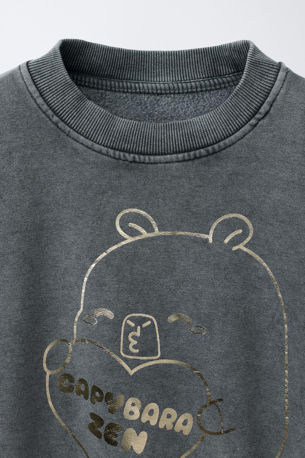 ТОЛСТОВКА С БЛЕСТКАМИ КАПИБАРА CAPYFUN ©