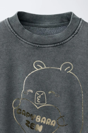 Толстовка с блестками капибара CAPYFUN ©- Заказать в России