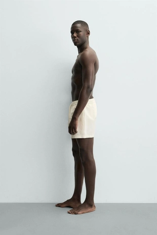 Полупрозрачные плавки из технической ткани средней длины ZARA- Заказать в России