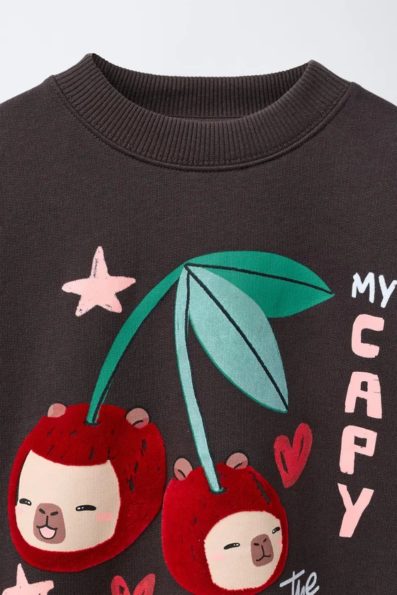 ТОЛСТОВКА С ВИШНЯМИ С РЕЛЬЕФНЫМ ПРИНТОМ Капибара CAPYFUN ©