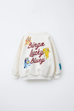 Толстовка с вышивкой BLUEY © LUDO STUDIO- Заказать в России