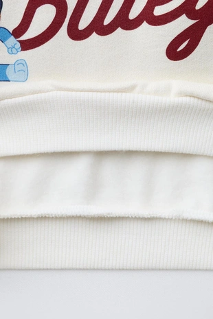 Толстовка с вышивкой BLUEY © LUDO STUDIO- Заказать в России