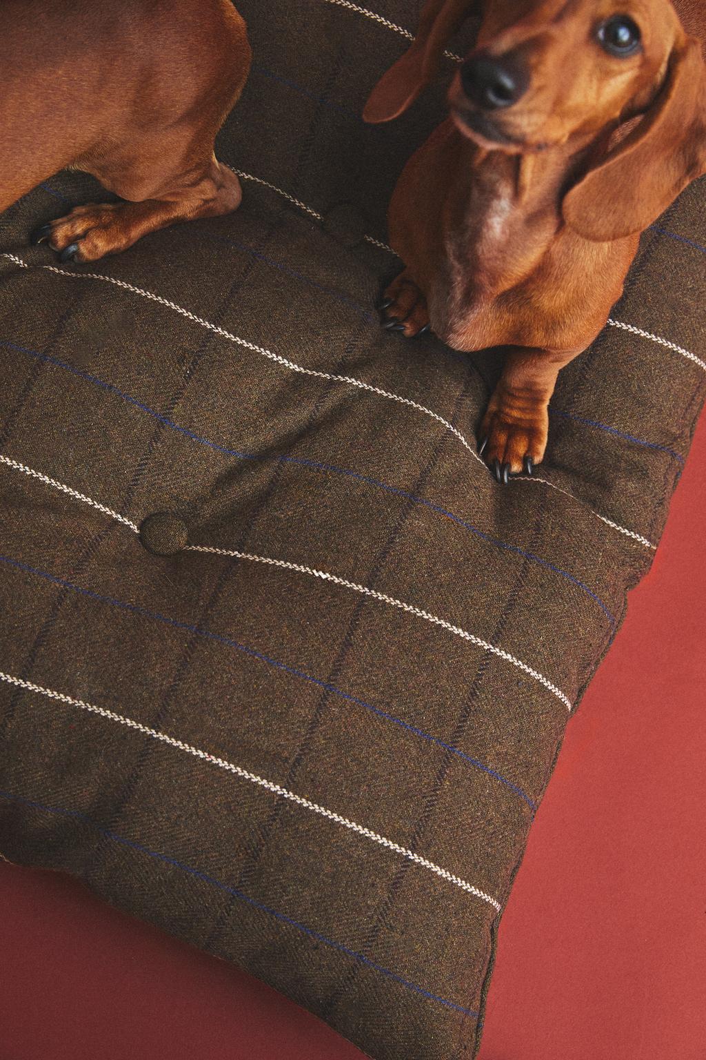 Съемная подушка для пола для домашних животных