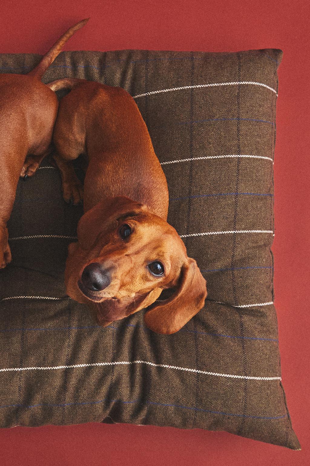 Съемная подушка для пола для домашних животных