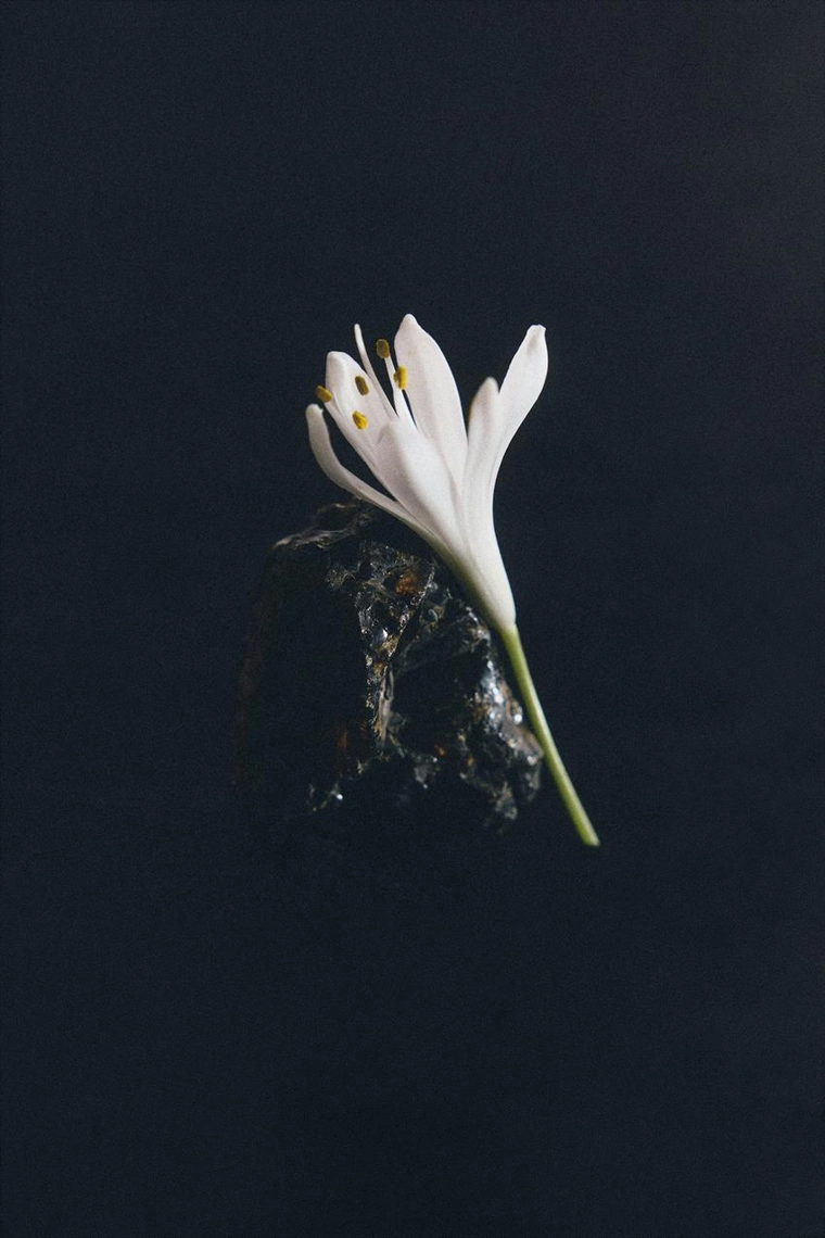 Coeur nocturne 75 мл / 2.53 унции