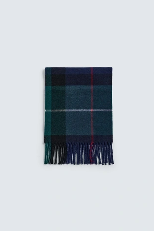 Шарф из смесовой шерсти в клетку — AARON LEVINE X ZARA- Заказать в России