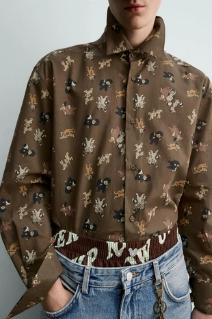 Рубашка с принтом LOST BOYS «питер пэн» HARRY LAMBERT FOR ZARA X DISNEY- Заказать в России