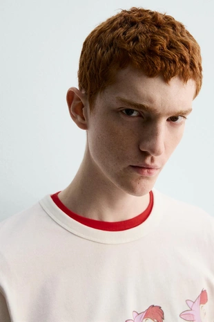 Футболка с принтом LOST BOYS питер пэн HARRY LAMBERT FOR ZARA- Заказать в России