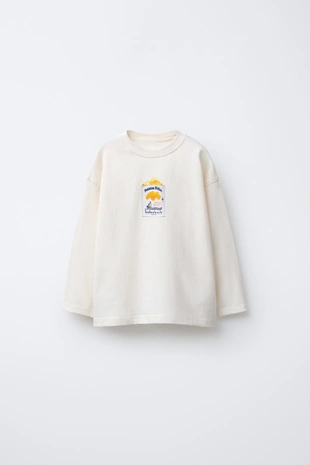 Stone | 5431/902/806 - Zara Футболка с длинным рукавом BONILLA A LA VISTA ® X ZARA с принтом