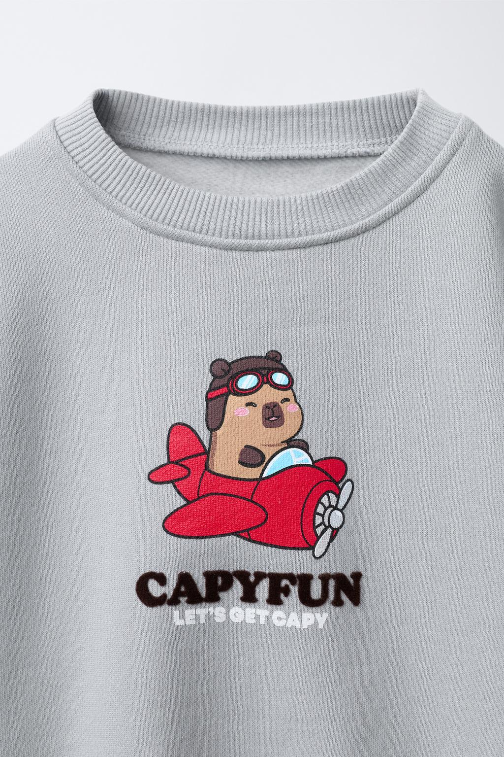 ТОЛСТОВКА С ПРИНТОМ CAPIBARA CAPYFUN ©