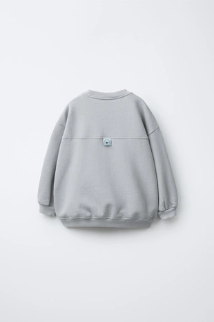 Толстовка с принтом CAPIBARA CAPYFUN ©- Заказать в России