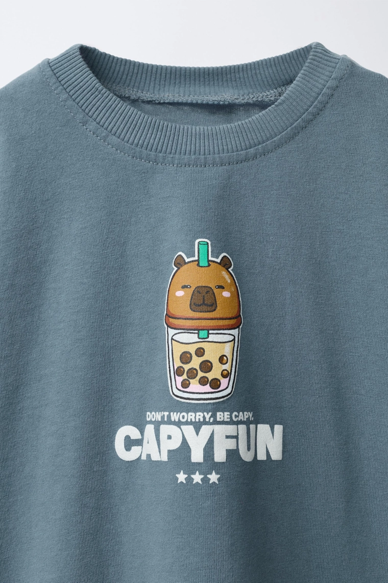 Футболка capybara capyfun © с окраской гармант-дай