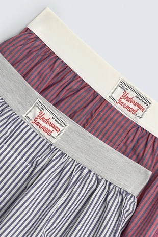 Набор из 2 комбинированных трусов-боксеров из поплина- Заказать в России