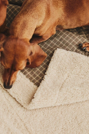 Плед для домашних животных в клетчатом дизайне- Заказать в России