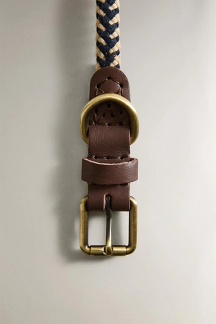 Ошейник для собак с цветным шнуром- Заказать в России