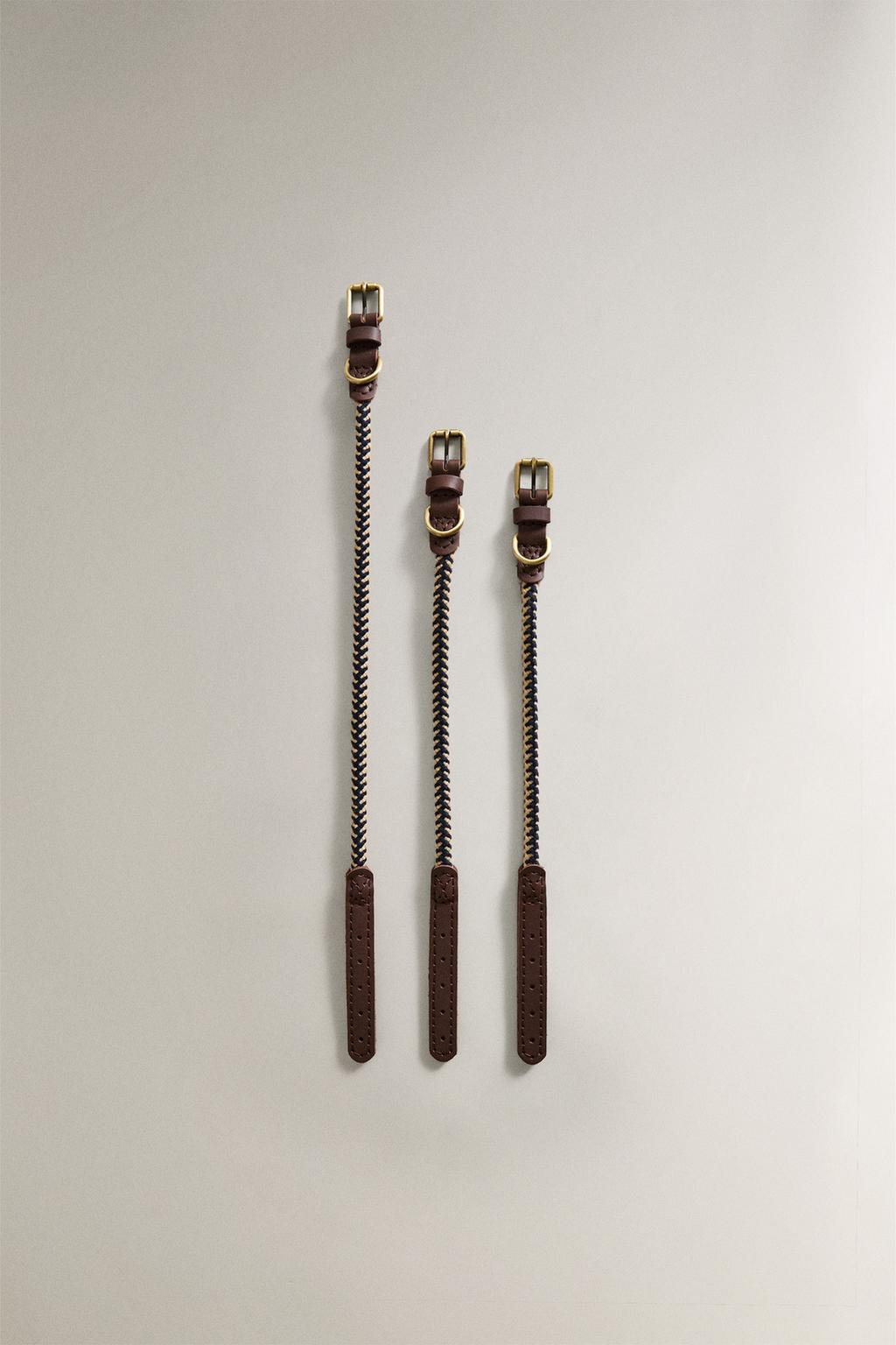 Ошейник для собак с цветным шнуром