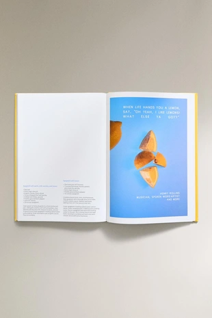 Книга-рецепты искусства с лимоном SQUEEZE-- Заказать в России