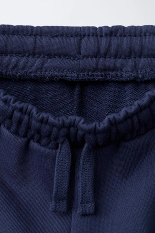 Брюки-джоггеры с вышивкой «лев»- Заказать в России