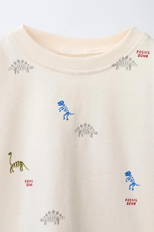 Футболка с принтом динозавров- Заказать в России