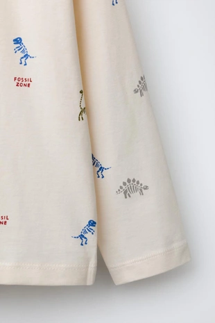 Футболка с принтом динозавров- Заказать в России