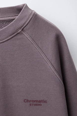 Толстовка из ткани с эффектом потертости с надписью- Заказать в России