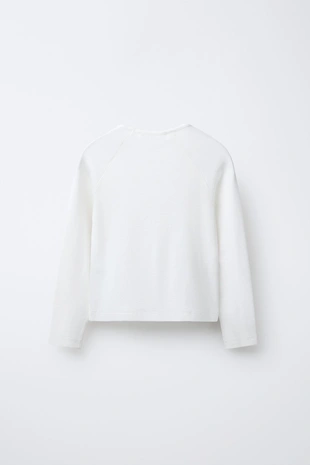 Футболка реглан из модала- Заказать в России