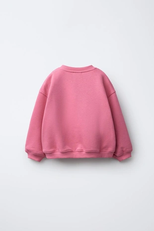 Толстовка с вышивкой «капибара и сердце»- Заказать в России