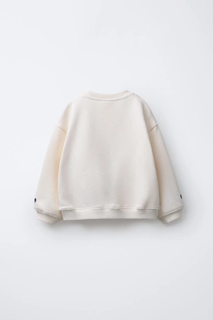 Толстовка с вышивкой «капибара и сердце»- Заказать в России