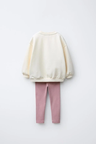 Комплект из толстовки и легинсов- Заказать в России