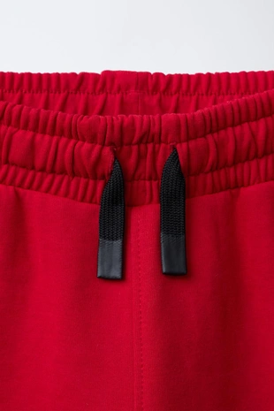 Спортивные брюки-джоггеры- Заказать в России