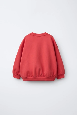 Толстовка с вышивкой животного- Заказать в России