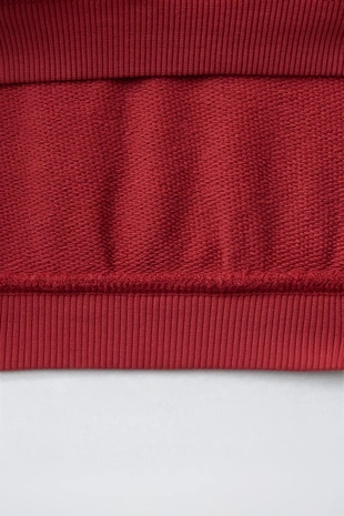 Комплект из толстовки и брюк-джоггеров с нашивкой- Заказать в России