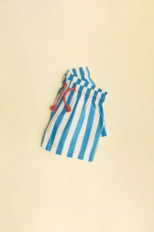 ZARA TIMELESS - плавки в полоску- Заказать в России