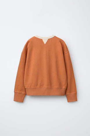 Толстовка с контрастным воротником и декоративными швами- Заказать в России