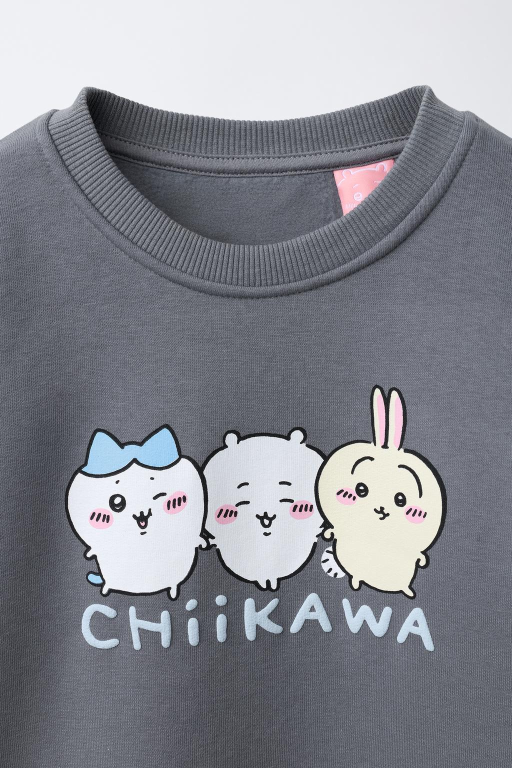 ТОЛСТОВКА CHIIKAWA © NAGANO