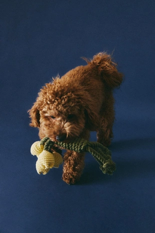 Игрушка для домашних животных тюльпанный букет- Заказать в России