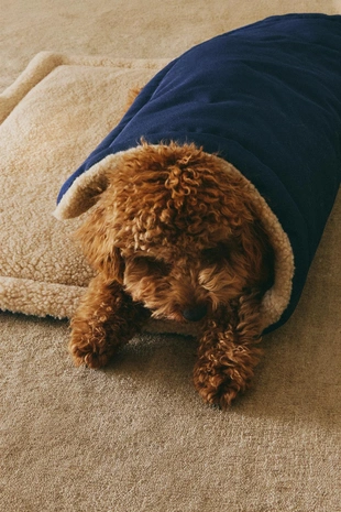 Плед для домашних животных с ручками, с возможностью скручивания- Заказать в России