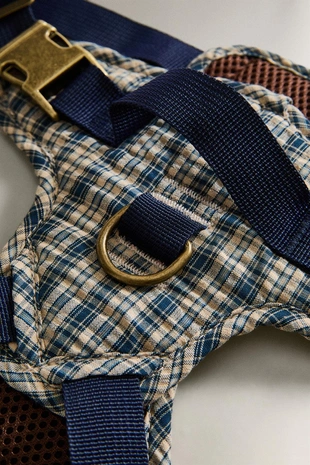 Петливый питомец в клетчатом ошейнике- Заказать в России