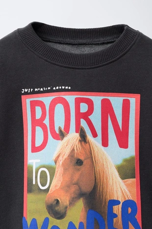 Свитшот с принтом лошади- Заказать в России