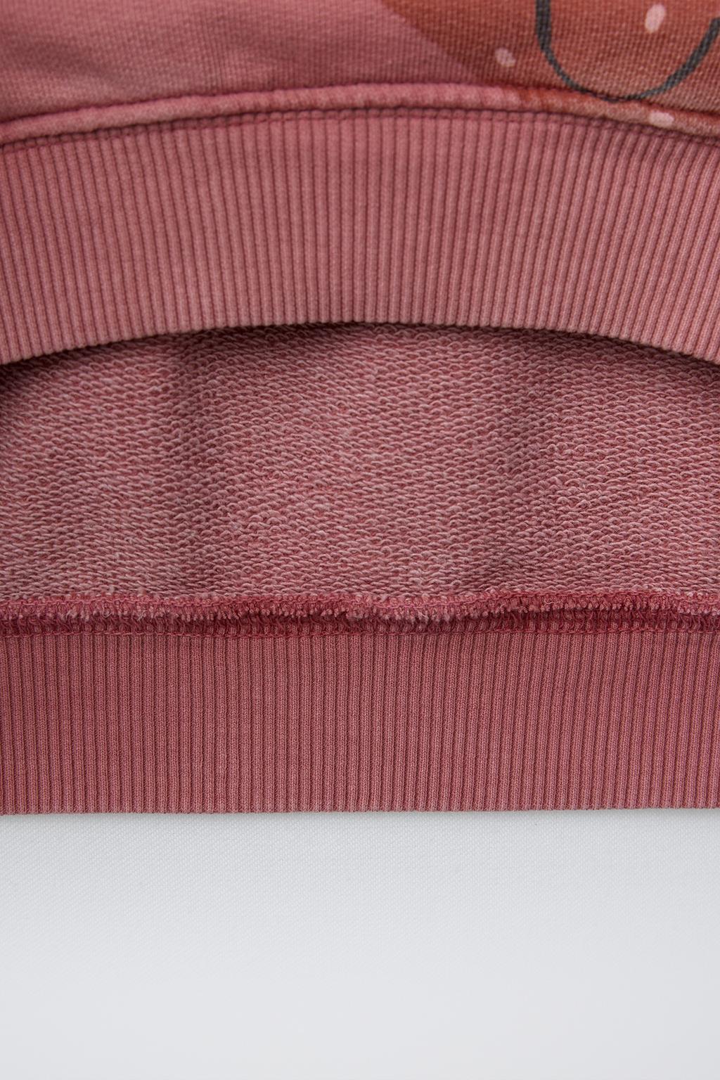 ТОЛСТОВКА С ПРИНТОМ «КРЕНДЕЛЬ»