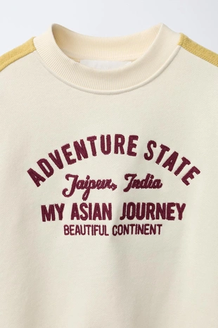 Толстовка с вышитой надписью- Заказать в России