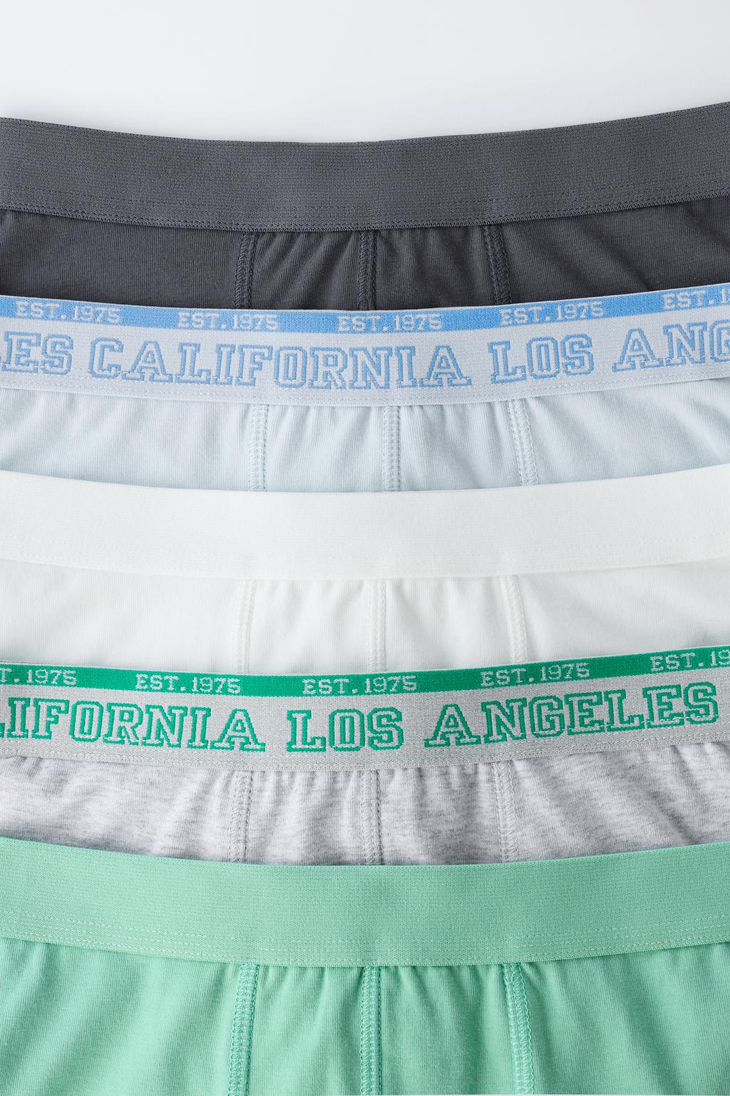 6-14 ЛЕТ/ НАБОР ИЗ ПЯТИ ТРУСОВ-БОКСЕРОВ С НАДПИСЬЮ