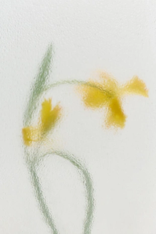 Поля ночи лето туалетная вода 100 мл- Заказать в России