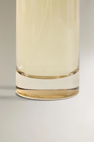 (100 мл) освежитель воздуха CLEAN BLOSSOM в спрее- Заказать в России