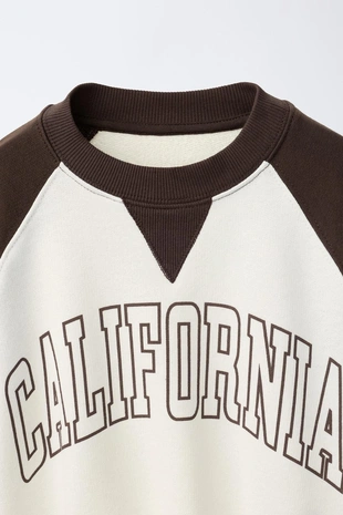 Толстовка с рукавами реглан и надписью- Заказать в России