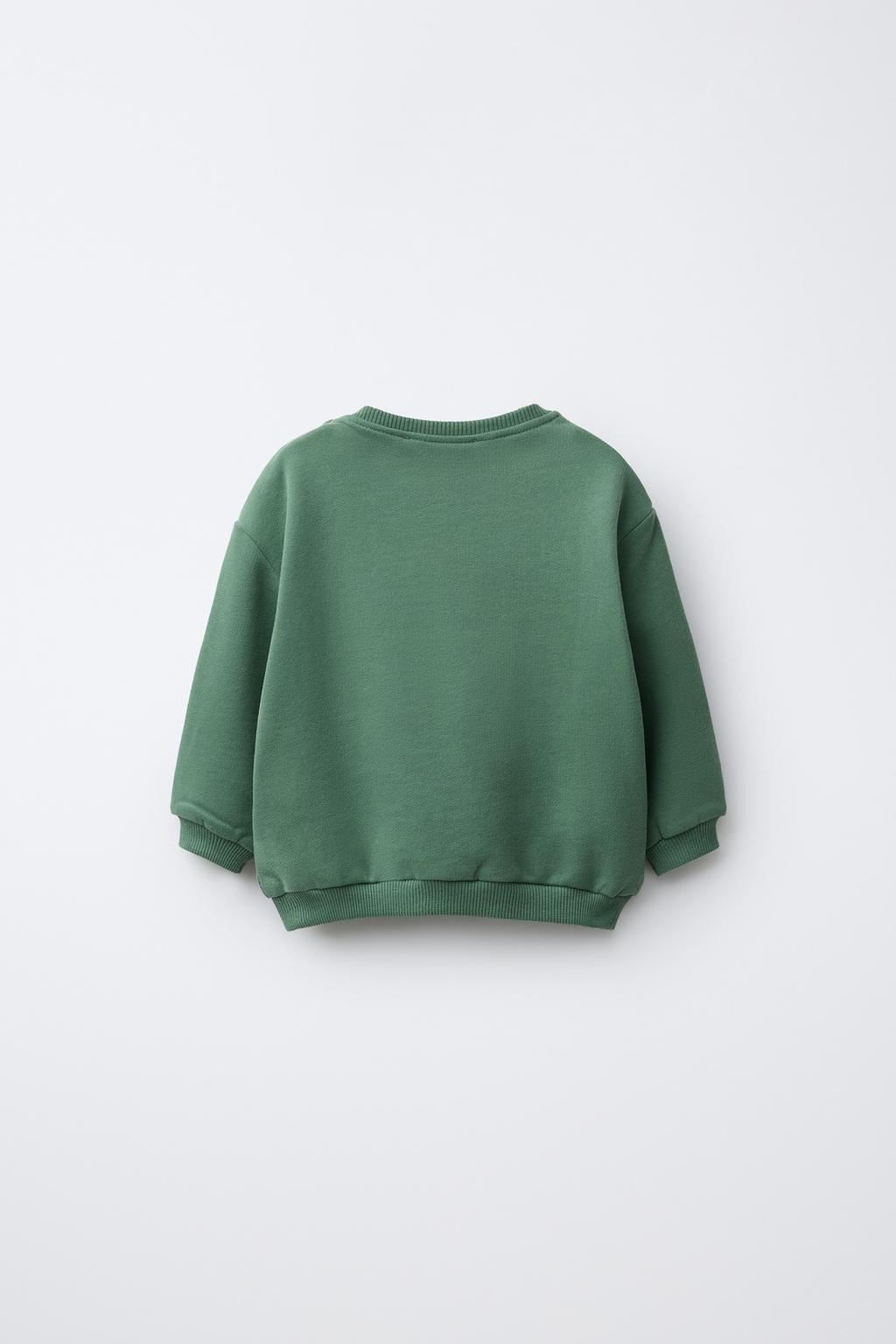 ТОЛСТОВКА С ПРИНТОМ В ВИДЕ ТРЕХЛИСТНИКА И ВЫШИТОЙ НАДПИСЬЮ